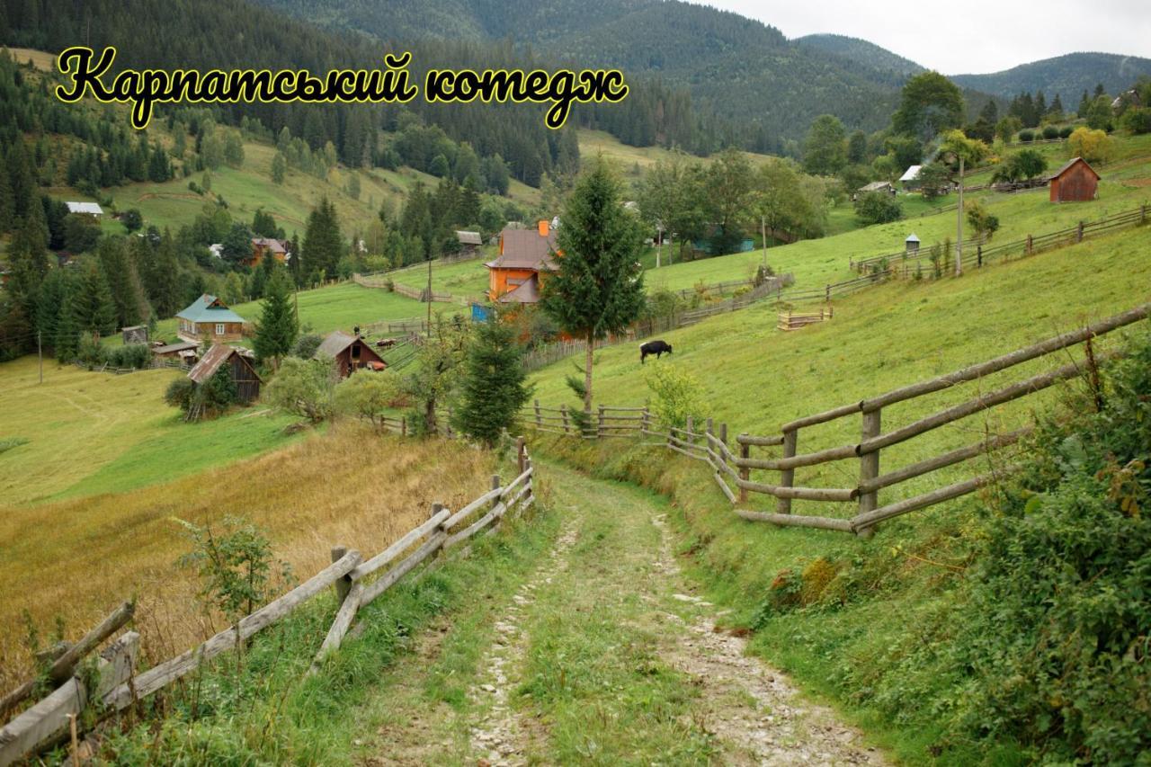 Карпатський Котедж Karpatian Cottage Vorokhta Eksteriør bilde