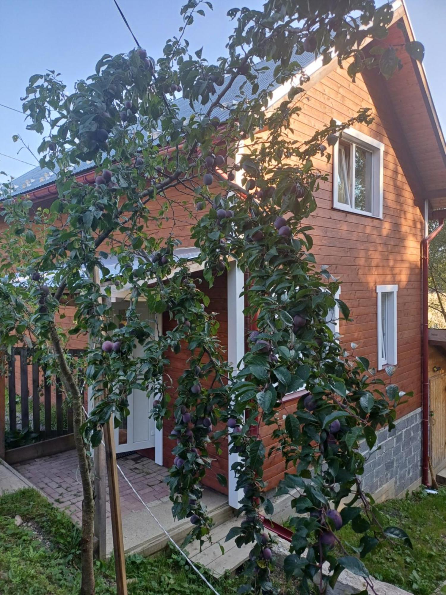 Карпатський Котедж Karpatian Cottage Vorokhta Eksteriør bilde